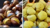 Castanhas assadas em 5 minutos – a casca sai inteira e sem esforço