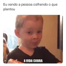 Cada um colhe aquilo que planta... né?