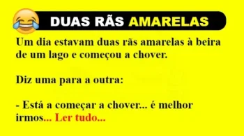 ANEDOTA: DUAS RÃS AMARELAS